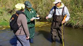 Plainfield ‘citizen scientist’ monitors stream health at Midewin by collecting aquatic insects