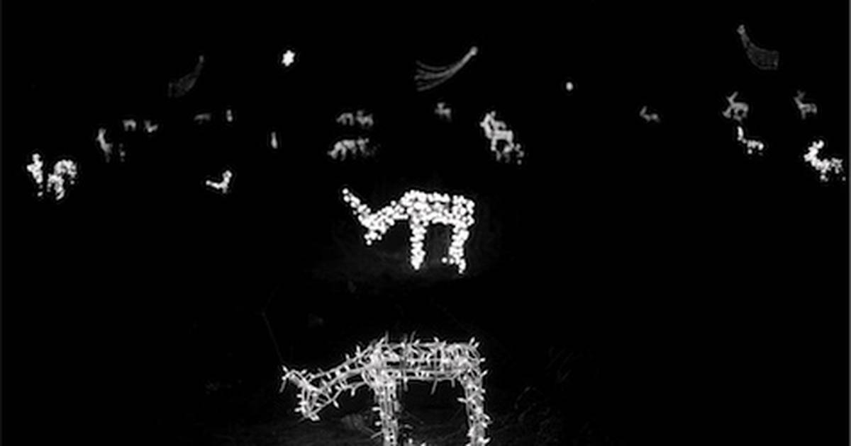 Holiday lightseekers line up to see the herd of white deer that gather