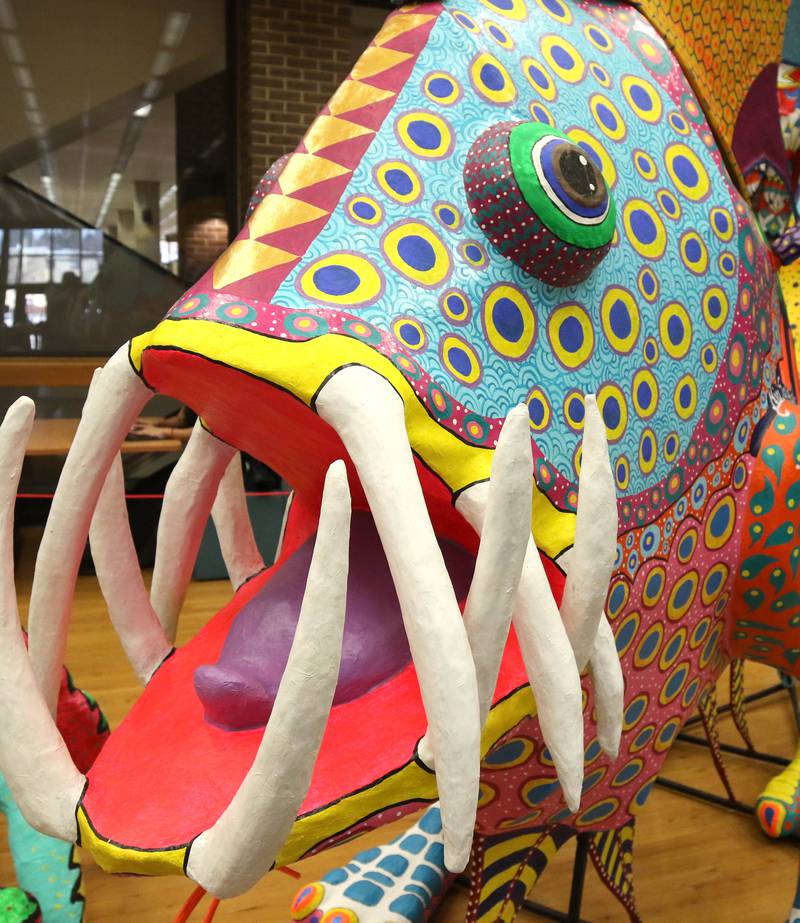 An alebrije Patapez, by Alejandro Camacho Barrera, on display Thursday, Feb. 29, 2024, in Founders Memorial Library at Northern Illinois University in DeKalb.