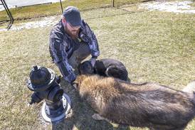 Sterling’s Dogwood Acres gets new additions for man’s best friend