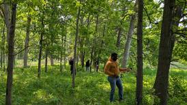 Moraine Hills State Park has rare woodland. Volunteers are needed to help protect it and other plants 