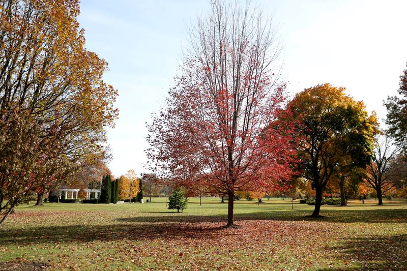 Fall colors at Mount Saint Mary Park in St. Charles.
