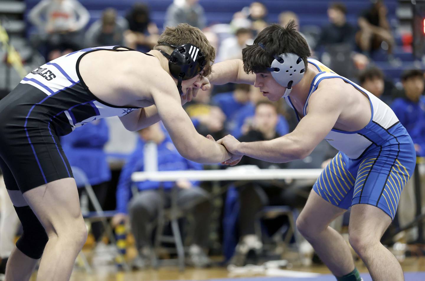 Doug Mejdrich of St. Charles North  wrestles Jacob Veltri of Wheaton North at 165-pounds during the DuKane Conference boys wrestling tournament Saturday, Jan. 24, 2026 at Wheaton North High School in Wheaton.