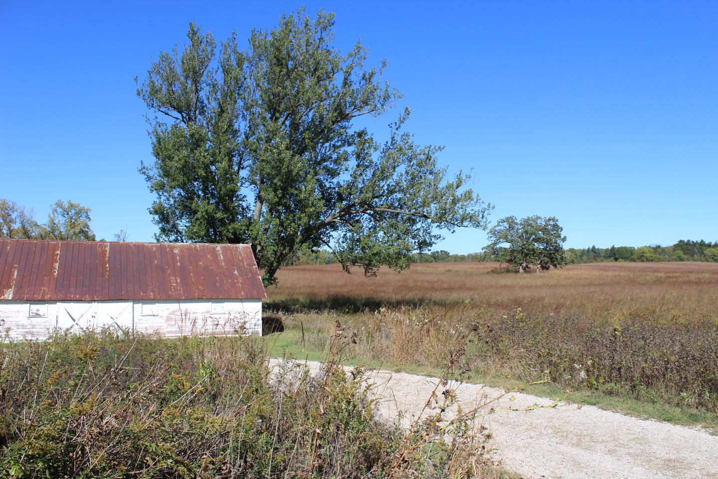 Cary Park District's Sands E. Main Street Prairie pictured on Oct. 7, 2025.
