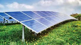 Sandwich City Council hears plans for solar farm of about 35 acres