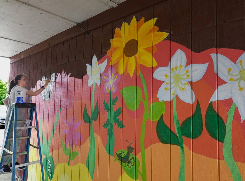 Hannah Beach, the artist-in-residence, painting the mural.