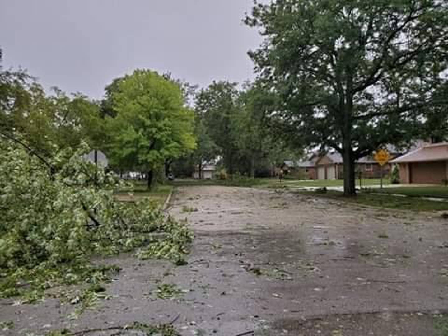 Joliet 2020 derecho
