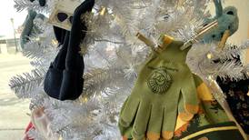 Mitten tree to provide warmth for 2 local agencies