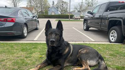 Crystal Lake Police Department mourns K-9 Zeus 