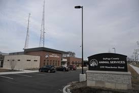 DuPage Animal Services celebrates $1 million gift as shelter is ‘overflowing’ with cats