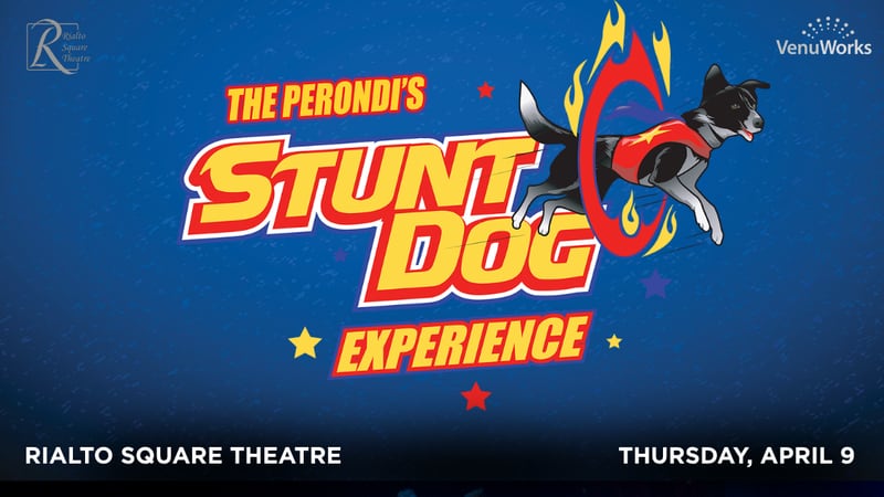 5 Things to Do in Will County: Perondi’s Stunt Dog Experience, National Poetry Month Open Mic this weekend
