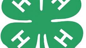 Kendall County 4-H invites families to fall open house event