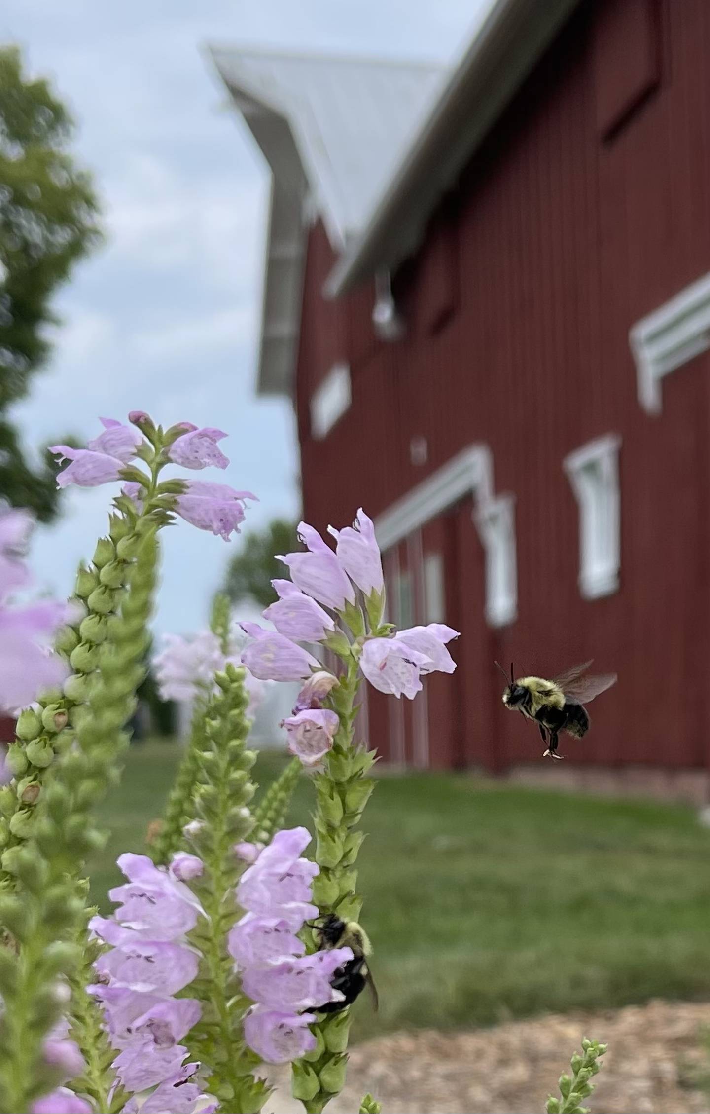 The Conservation Foundation's Conservation@Home program promotes environmental sustainability a an easy and accessible manner.