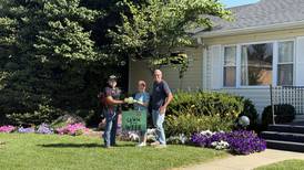 Hardys win Rochelle Chamber Lawn of the Week
