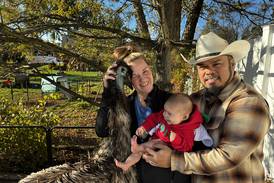 Couple gives up fight to keep emus in McHenry, will relocate