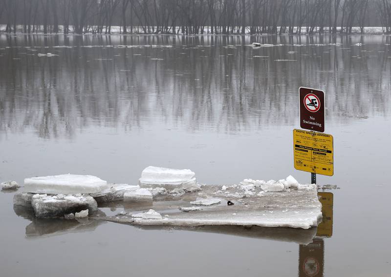 A large chunk of ice floats near a "no swimming" sign on the Illinois River near the Starved Rock boat ramp at Starved Rock State Park on Friday, Jan. 26, 2024.