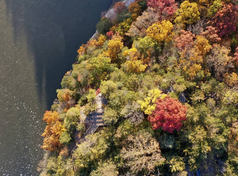 A aerial view of fall colors on top of  Starved Rock on Thursday, Oct. 24, 2024 at Starved Rock State Park.