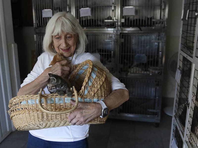 Lee Linklater holds some kittens available for adoption on Wednesday, Nov. 29, 2023, at Assisi Animal Foundation in Crystal Lake. The holiday season is a busy and difficult time for rescues, with people giving up pets because of inflation and families looking to adopt for the holidays.