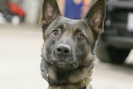 Eye On Illinois: Putting a law on the books doesn’t guarantee permanent change