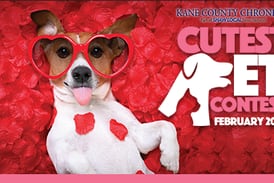 Kane County February Cutest Pet Contest