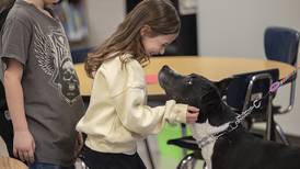 Give Me Shelter: Granny Rose dogs visit Jefferson School