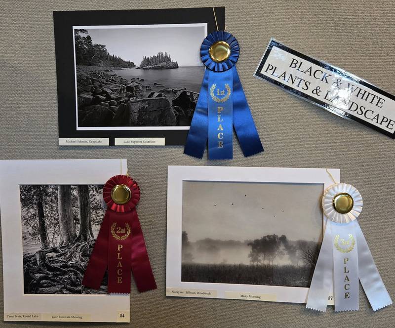 Black & White Plant/Landscape

1st      Michael Schmitt of Grayslake for “Lake Superior Shoreline”
2nd    Tami Bevis of Round Lake for “Your Roots are Showing”
3rd     Narayani Hiffman of Woodstock for “Misty Morning”