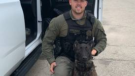 Kane County flags lowered to half-staff in honor of K-9 Hudson