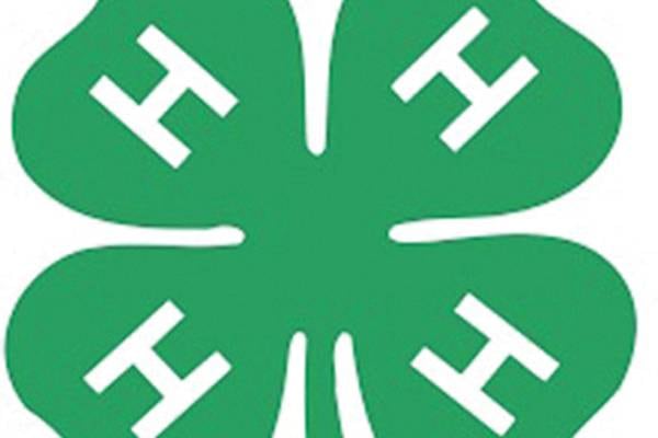 Leaf River Soaring Eagles begin new 4-H year
