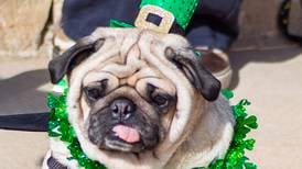 5 Things to Do: Celebrate all things St. Patrick’s this weekend in the Sauk Valley