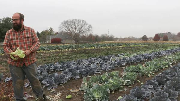 State grants allow small Illinois farmers to develop local food-sharing networks