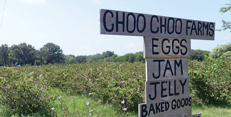This sign marks the entrance to Choo Choo Farms off of Route 178 near Oglesby.