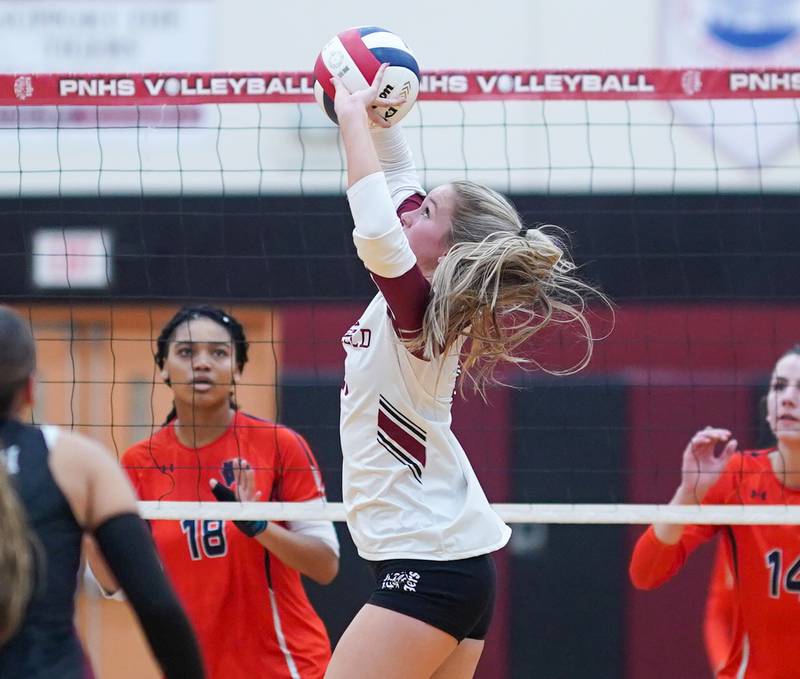 Plainfield North's Ella Strausberger (10) sets the ball against Oswego during the class 4A Plainfield North regional volleyball final at Plainfield North High School on Thursday, Oct. 26, 2023.