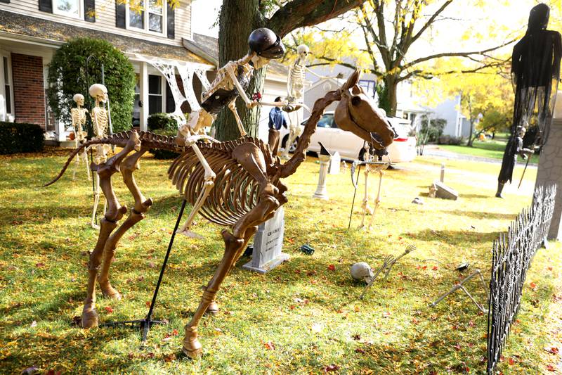 Photos Halloween haunts in the TriCities Shaw Local