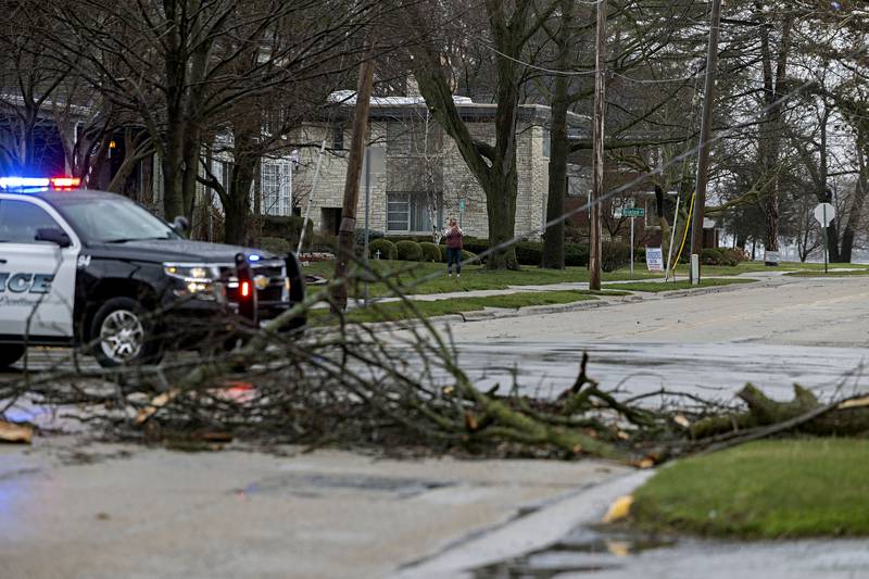 The limb came down on East Everrett Street near the Dixon YMCA Monday, April 3, 2023. Power outages have also been reported.
