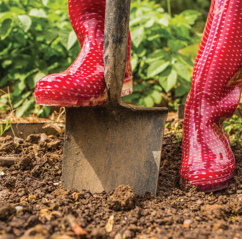 preparing garden beds
