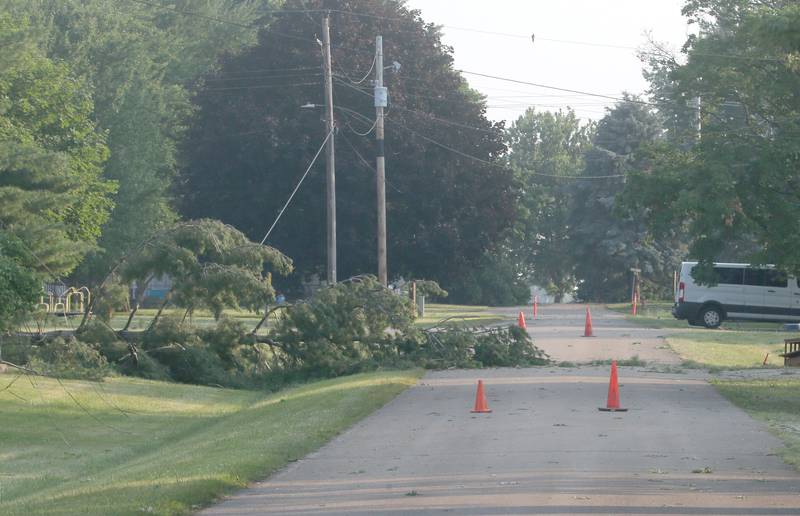 A down tree lays scross Main Street on Monday, June 17, 2024 in Dover.