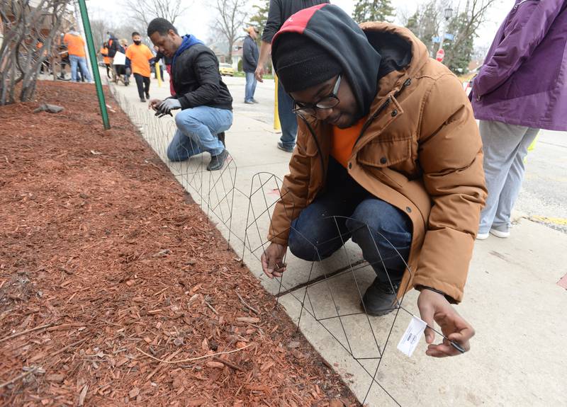 Home Depot (left) Supervisor Jamal Harvey and Associate Rashaun Wells help put up fencing around mulch laid out in collaboration with members of Heritage Middle School Instructional Special Ed Science class and OAV Club during beautify day held Wednesday April 20, 2022.