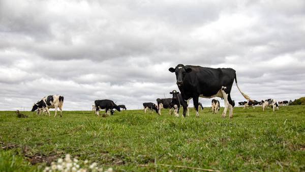 Congress advances whole milk bill