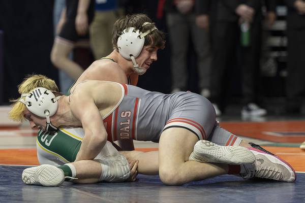 2024-25 Daily Journal All-Area wrestling team