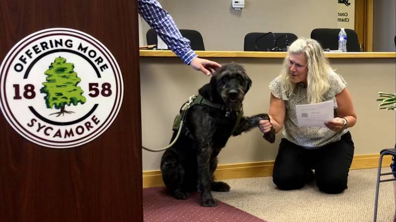 Sycamore Police Department's new comfort animal, Jax, being sworn in by City Clerk Mary Kalk June 2 at City Hall.