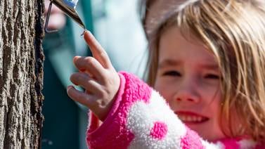 Sweet tradition: Maple Fest returns to Red Oak in North Aurora this weekend