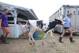 Burpee Museum of Natural History joins La Salle County 4-H fair for first time