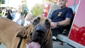 National Night Out returns to Campton Hills Aug. 5