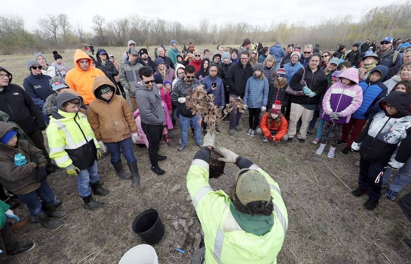 Forest Preserve District of Kane County staff show volunteers how to plant a tree Saturday at Tekakwitha Woods Forest Preserve in St. Charles.