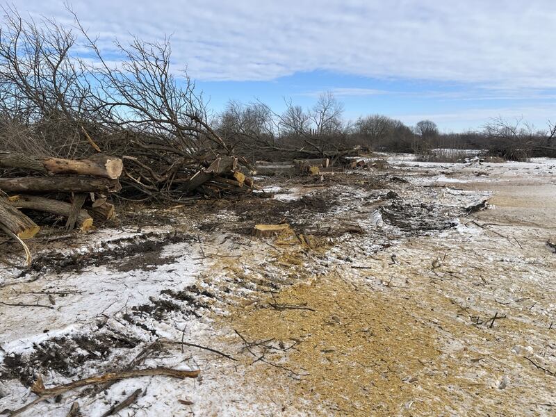 Restoration funding at Midewin National Tallgrass Prairie in Wilmington is paused due to the federal funding freeze. This pause affects local jobs along with the restoration.