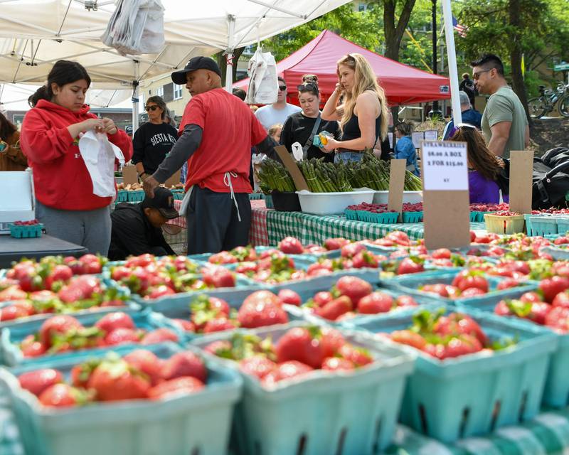 Community members pick up fresh produce on Saturday May 31, 2025, during the Farmers Market held at the Main Street train station parking lot in Downers Grove.