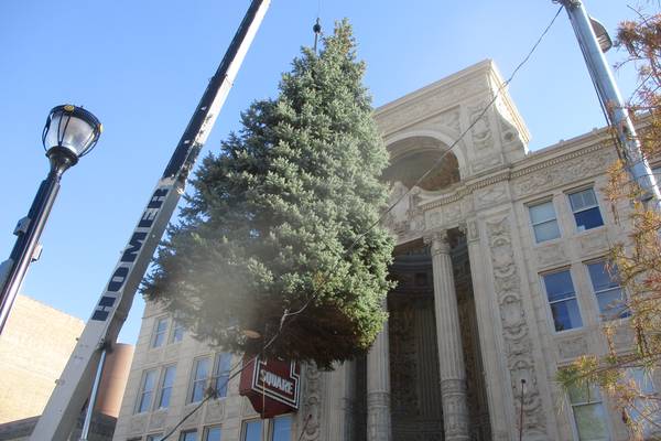 Joliet family donates tree that becomes part of city’s holiday history
