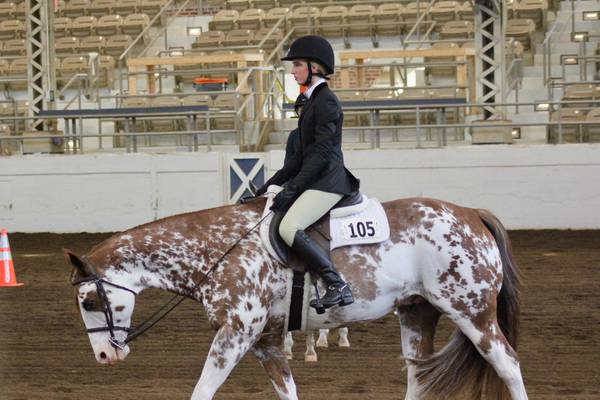 Payton Frueh takes top honors at Illinois State Fair  