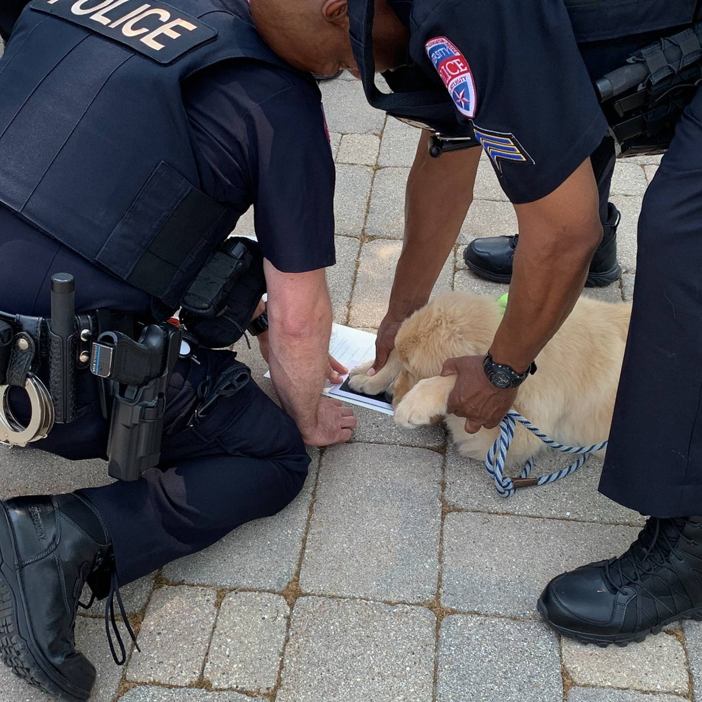 The Lewis University police department in Romeoville now has an on-campus emotional support animal. On June 20, Canine Officer Jet (pictured) participated in an official swearing-in ceremony with Sgt. Lyle Nettles, his dedicated handler and shift supervisor on the afternoon team.