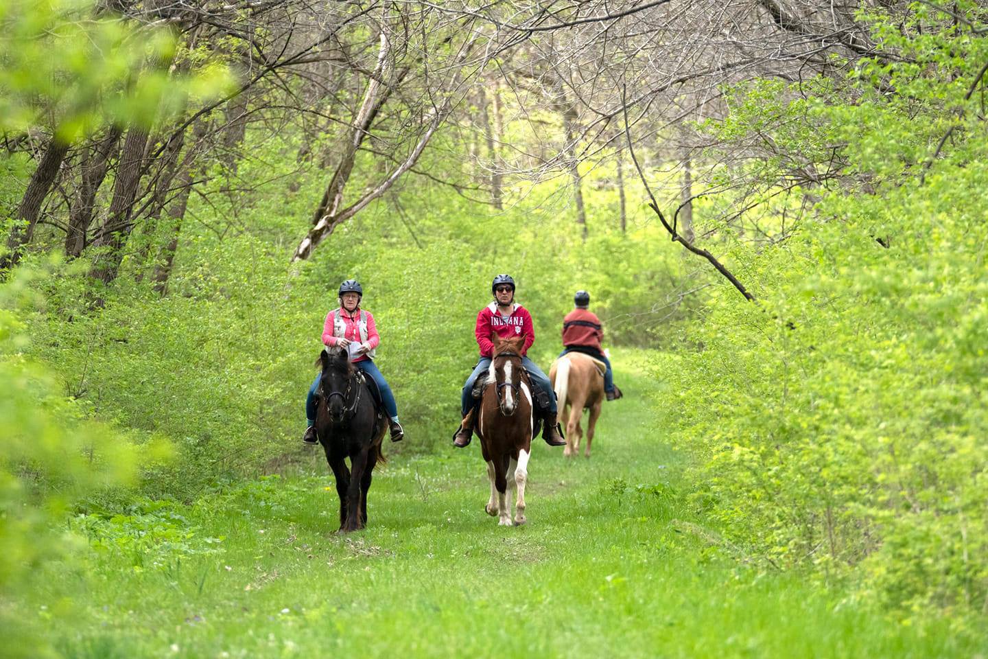 The Kankakee River State Park, which covers 4,000 acres, provides great trails for horse back riding.